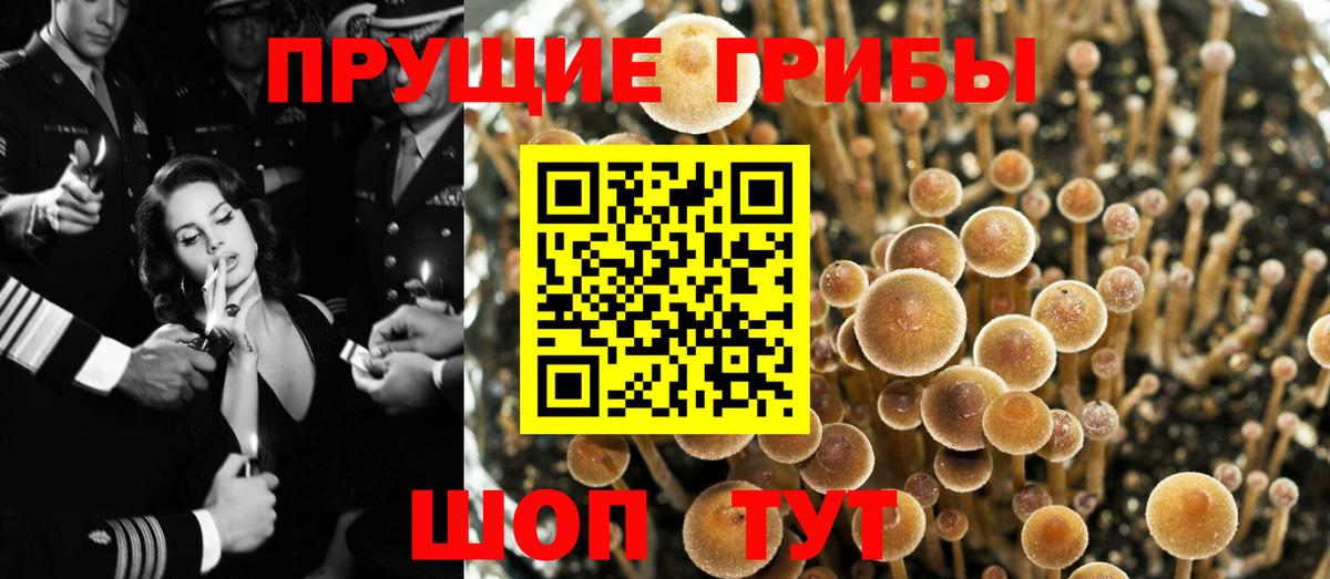 Соликамск  купить наркотики сайты  Вход с VPN  Псилоцибиновые грибы прущие грибы 