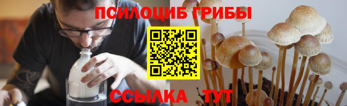 Псилоцибиновые грибы GOLDEN TEACHER Соликамск